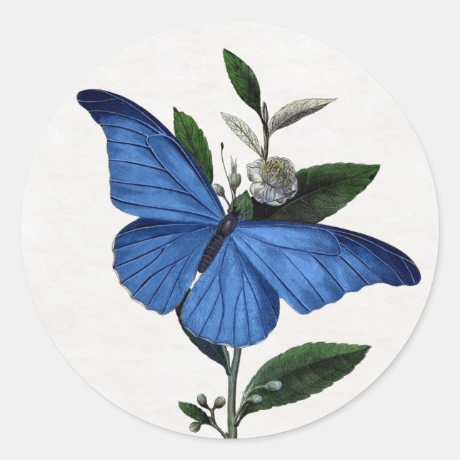 Blue Butterfly Classic Round Sticker (Front)