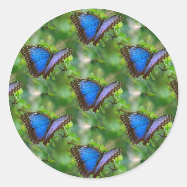 Blue Butterfly Classic Round Sticker (Front)