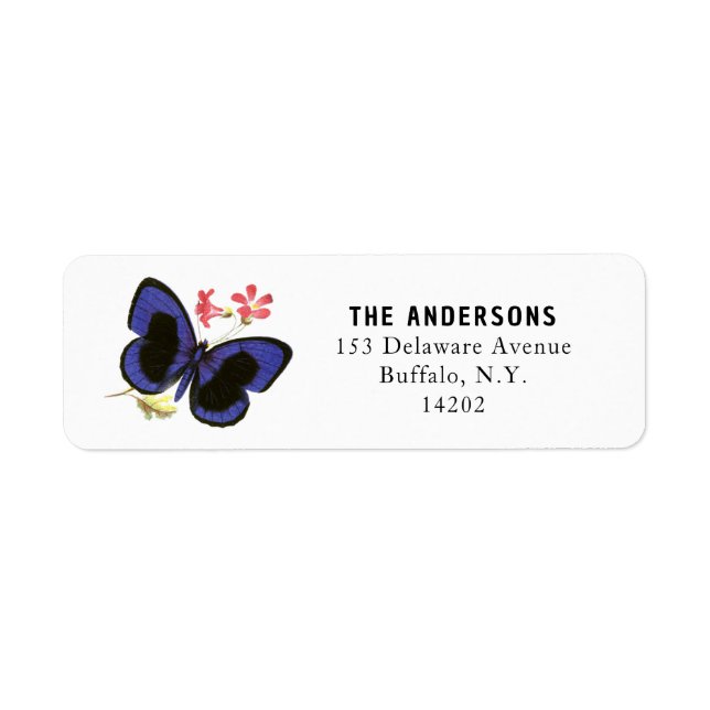Blue Butterfly Elegant Insect Art Return Address (Front)