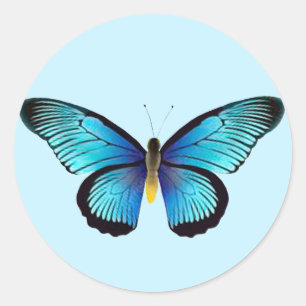 Blue  Butterfly Envelope Seals