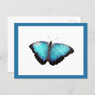 Blue Butterfly Fine Nature Art Photograph Postcard