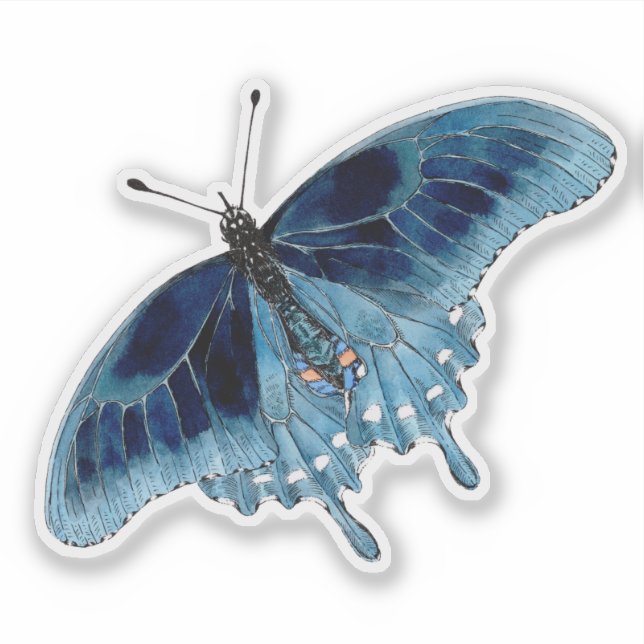 Blue Butterfly Hand Painted Watercolor (Front)