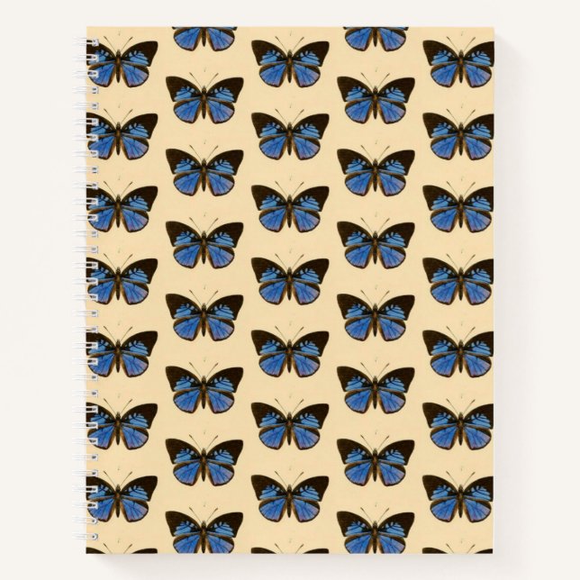 Blue Butterfly Hardcover Spiral Sketchbook Notebook (Front)
