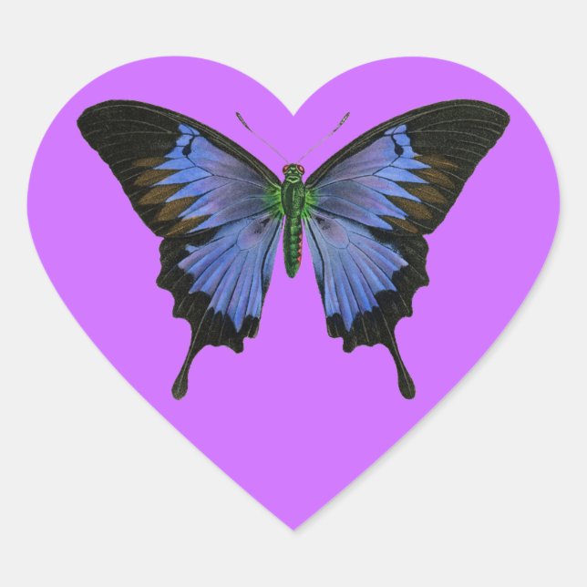 Blue Butterfly Heart Shape Stickers (Front)