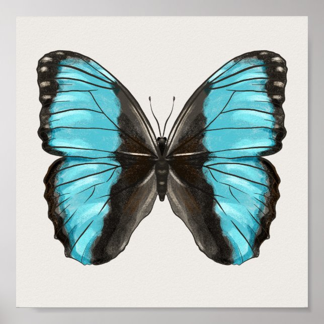 Blue Butterfly Insect Art Nature Lover Poster (Front)