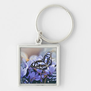 Blue Butterfly Key Ring