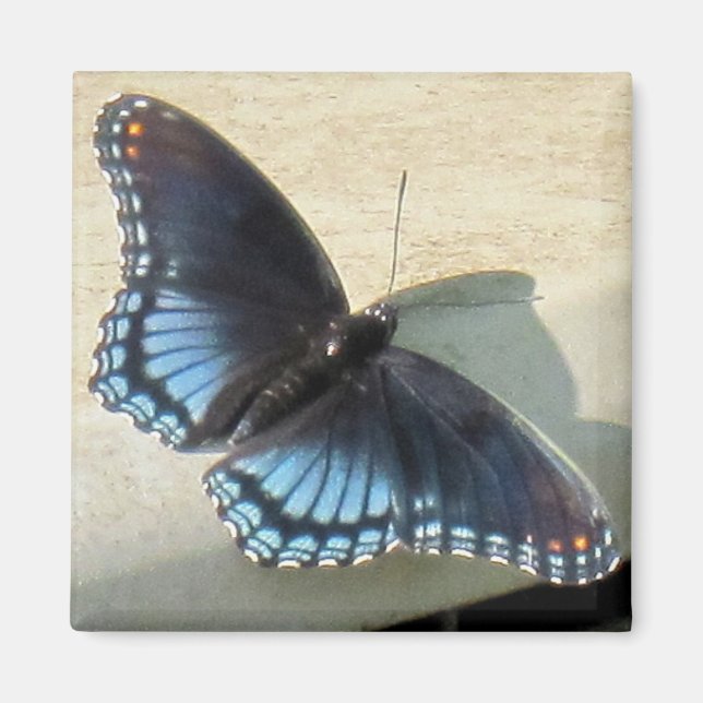 Blue Butterfly Magnet (Front)