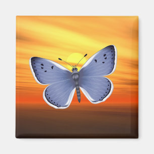 Blue Butterfly Magnet