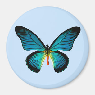 Blue Butterfly Magnet