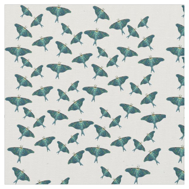 Blue Butterfly Moth Fabric (Close Up)