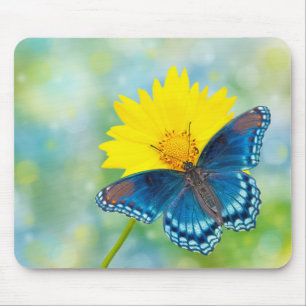 Blue Butterfly Mouse Pad