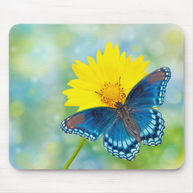 Blue Butterfly Mouse Pad (Front)