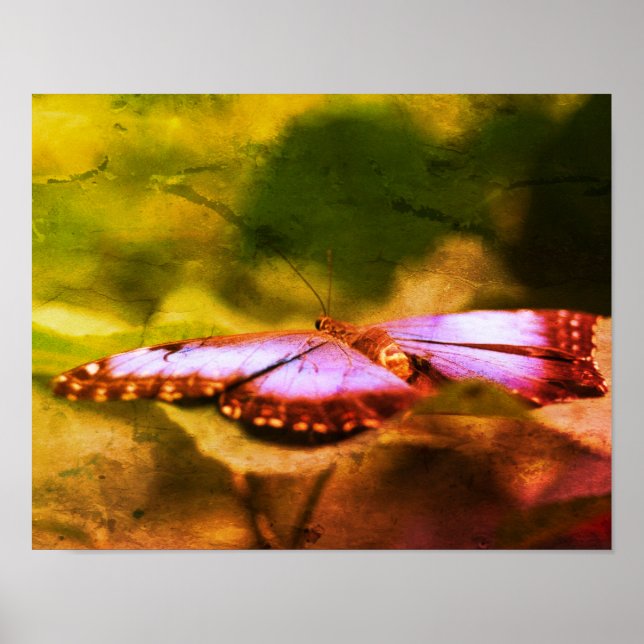 Blue Butterfly Nature Distressed Art Poster (Front)