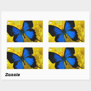 Blue butterfly on daffodils rectangular sticker