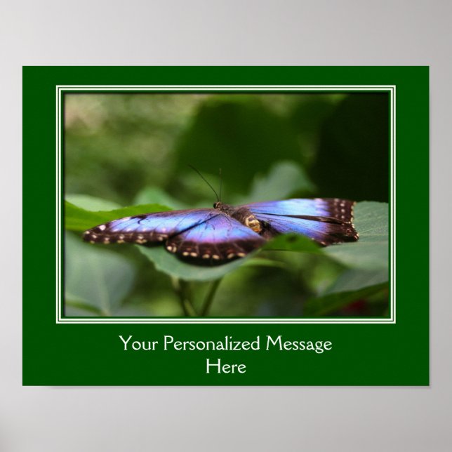 Blue Butterfly Personalised Poster (Front)
