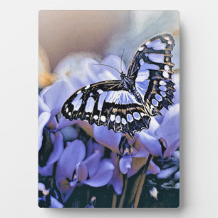 Blue Butterfly Plaque