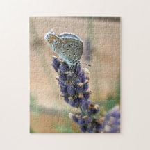 Blue Butterfly Puzzle
