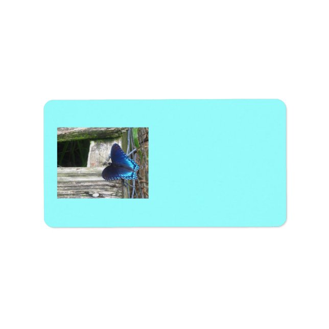 Blue Butterfly Resting Labels (Front)