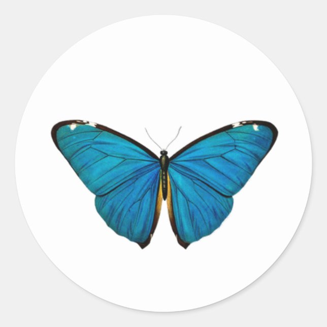 BLUE BUTTERFLY ROUND CUSTOM STICKER (Front)