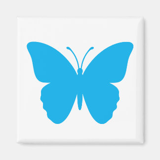 Blue Butterfly Square Shape Magnet