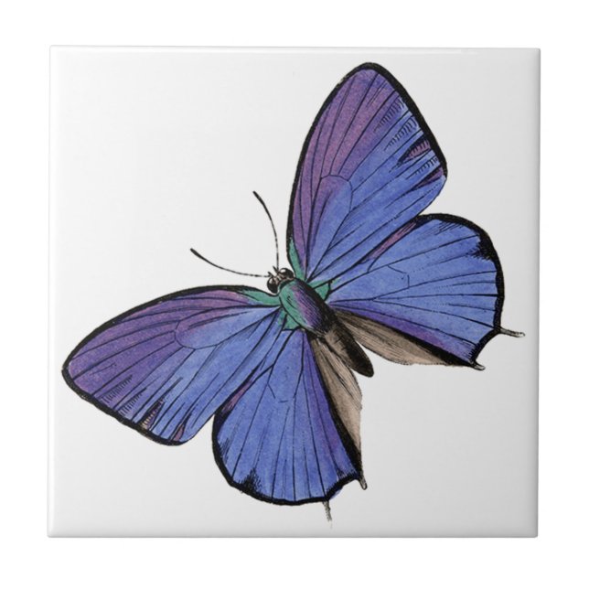 Blue butterfly tile (Front)