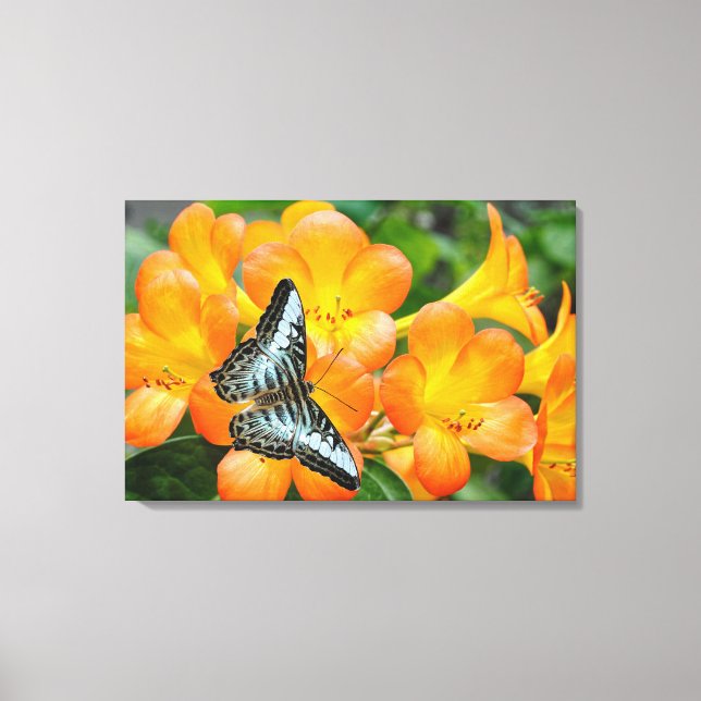 Blue butterfly with Tropical Rhododendron  Canvas Print (Front)