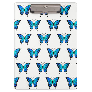 Blue Butterflys by storeman. Clipboard