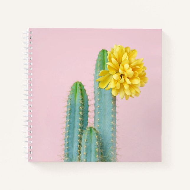 Blue Cactus Trio Notebook (Front)