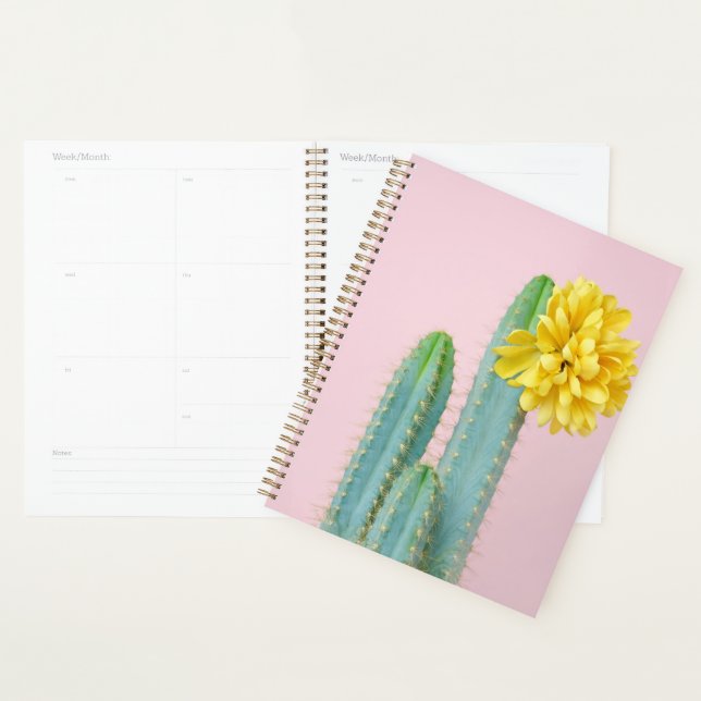 Blue Cactus Trio Planner (Display)