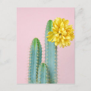 Blue Cactus Trio Postcard