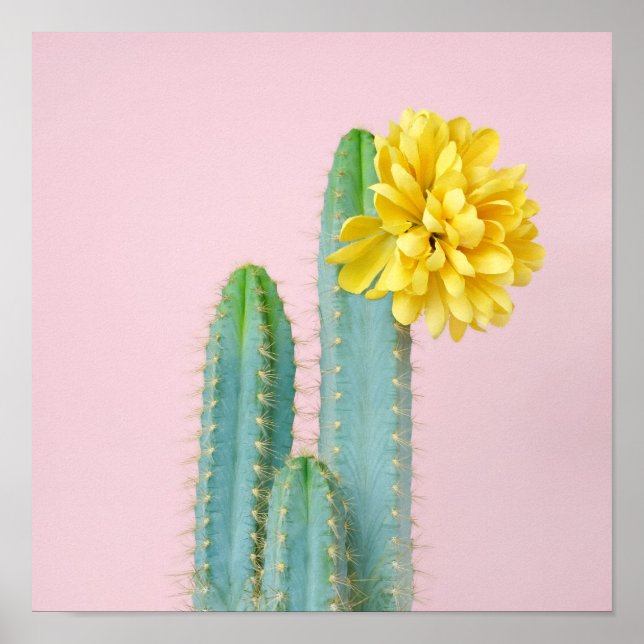 Blue Cactus Trio Poster (Front)