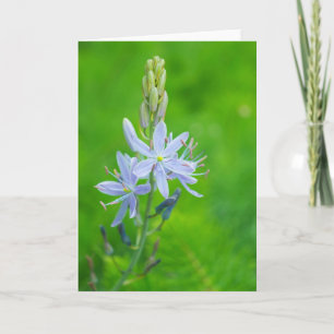 Blue Camas Blank Card