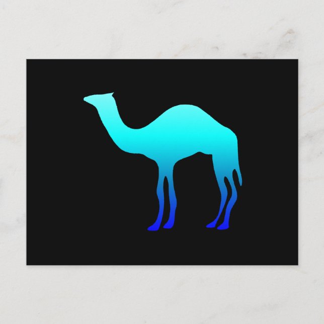 Blue Camel Postcard (Front)