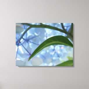 Blue Canvas art prints Hydrangea Flower Garden