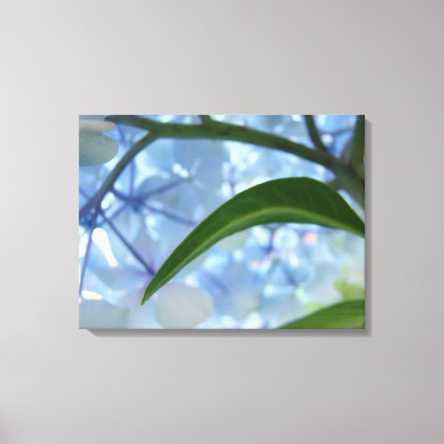 Blue Canvas art prints Hydrangea Flower Garden (Front)
