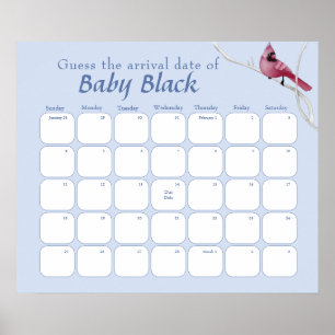 Blue Cardinal Bird Baby Shower Guess The Due Date Poster