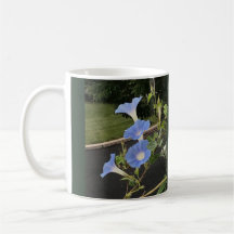 Blue Cascade Morning Glory