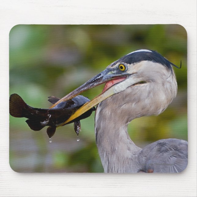 Blue Catfish Mouse Pad (Front)