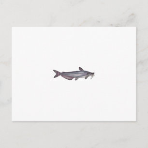 Blue Catfish (untitled) Postcard