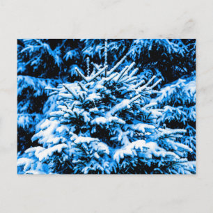 Blue Christmas Tree, Snow Postcard