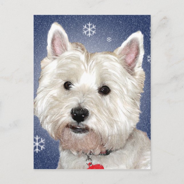 BLUE CHRISTMAS westie Holiday Postcard (Front)
