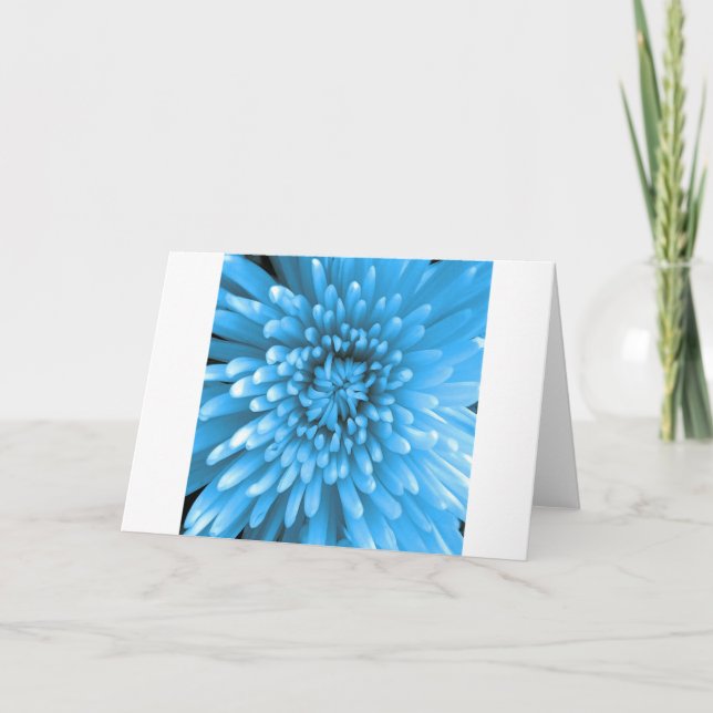 Blue Chrysanthemum Card (Front)