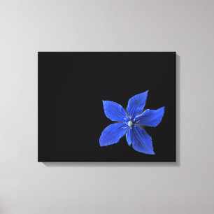 Blue Clematis on Black Wrapped Canvas