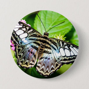 Blue Clipper Butterfly Button