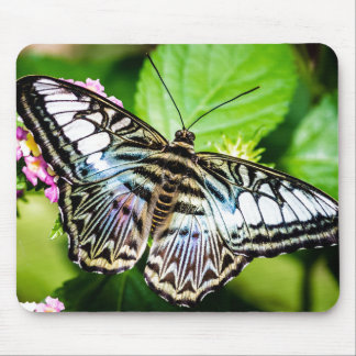 Blue Clipper Butterfly Mouse Pad
