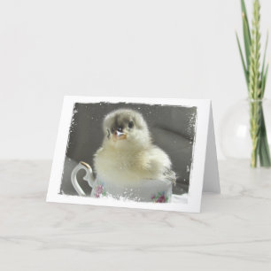 Blue Cochin Chick in a Teacup Card