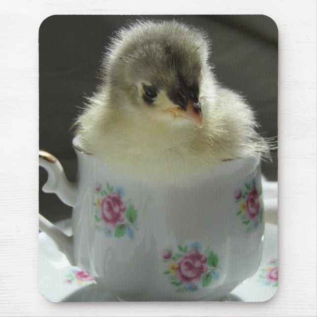 Blue Cochin Chick in Teacup Mouse Pad (Front)