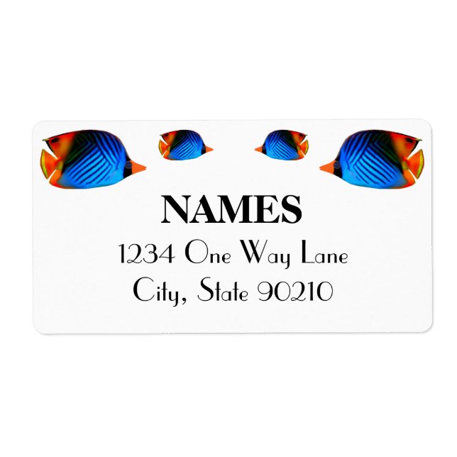 Blue Colourful Fish (Front)