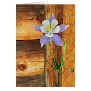 Blue Columbine and Wood All Occasion Greeting Card
