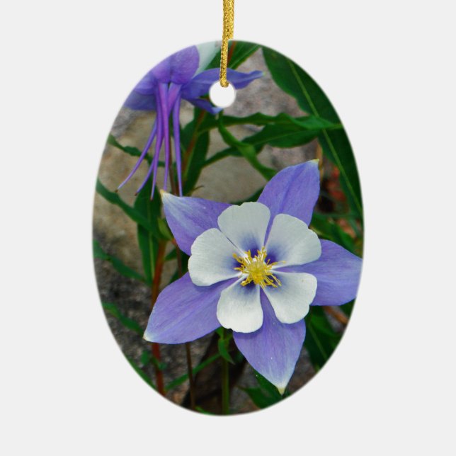 Blue columbine ceramic tree decoration (Front)